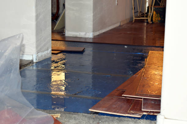 Professional Flood Damage Repair technician working in Roxbury, ME